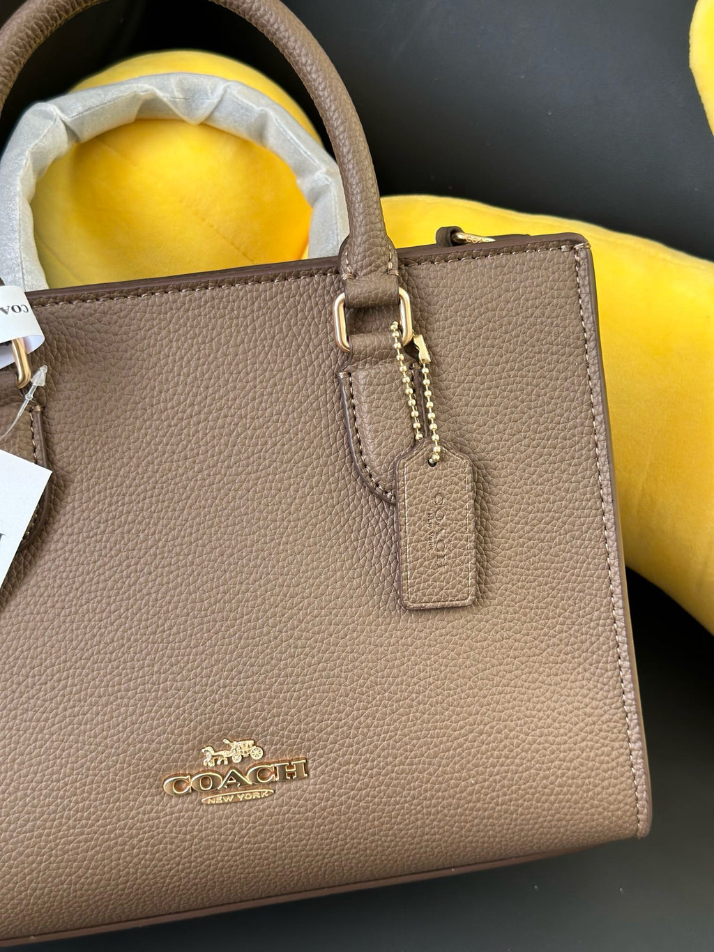 Women's Signature Canvas Maggie Small Tote bag