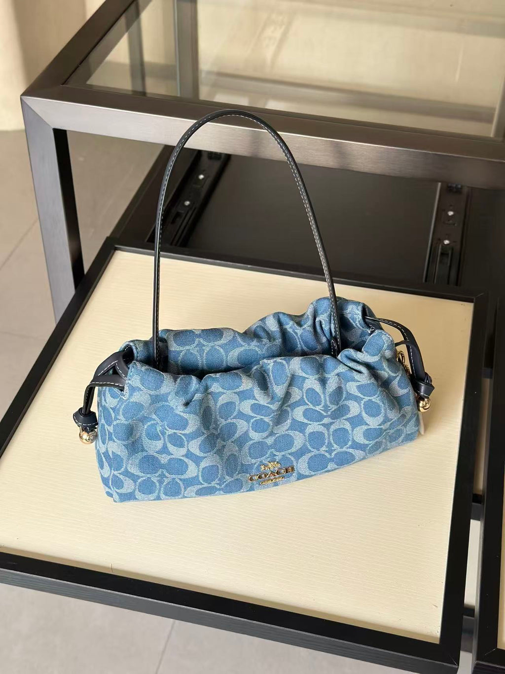 Women's Faye 26 Monogram Signature Canvas Shoulder Bag