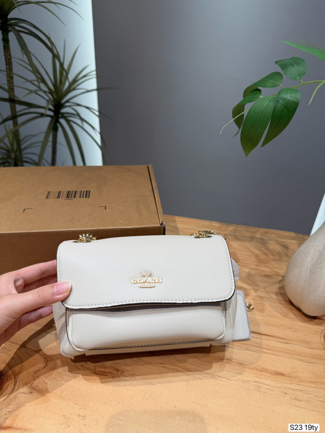 A hand holding a small Coach flap shoulder bag in light cream leather, with a brown cardboard box and indoor plants in the background on a wooden table.