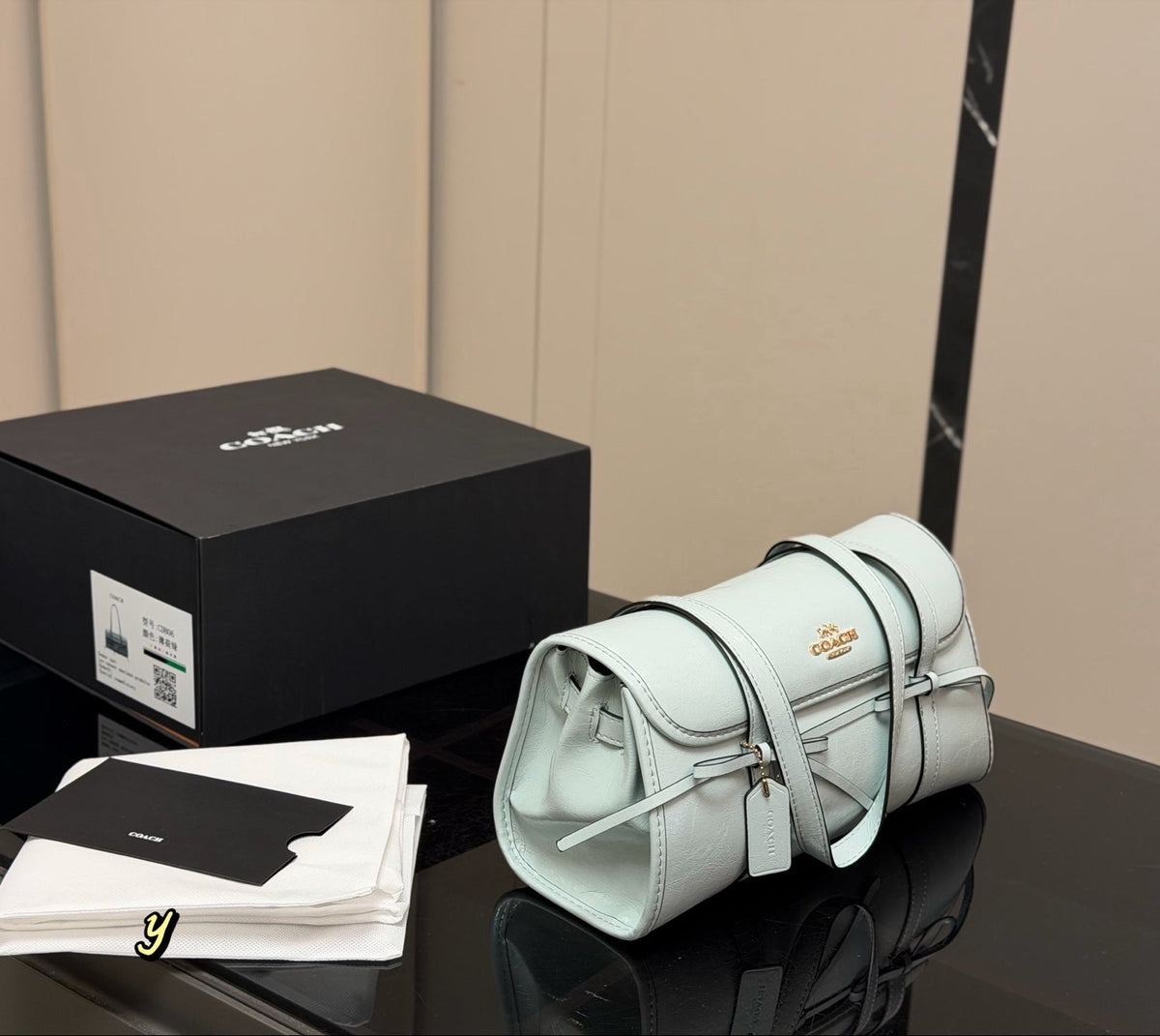 A light mint green Coach handbag with black trim and a gold logo, displayed next to its black branded box and white dust bag on a dark reflective surface.