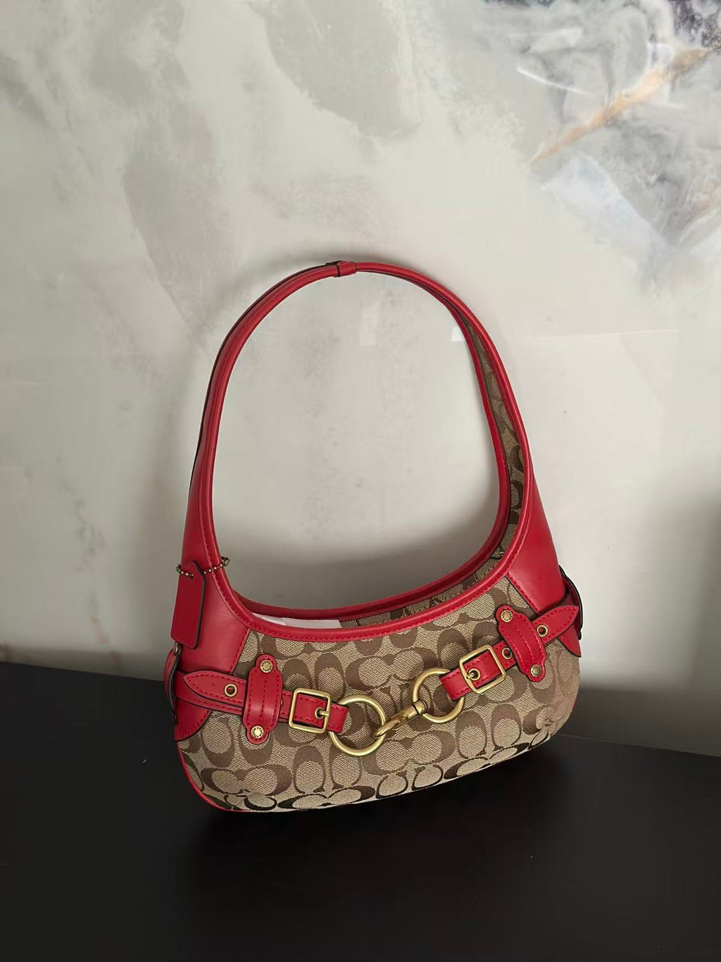 Women's Belted Ergo 26 Signature Canvas Hobo Bag