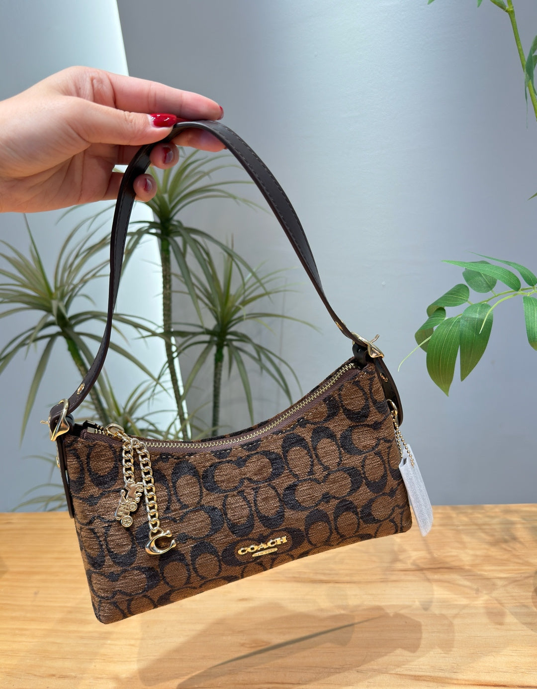 A hand holds a Coach shoulder bag in the signature brown monogram canvas, featuring gold-tone hardware and a white hangtag, set against a background of indoor plants and a wooden table.