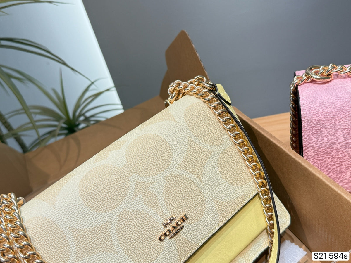Monogram Canvas Chain Accordion Flap Bag