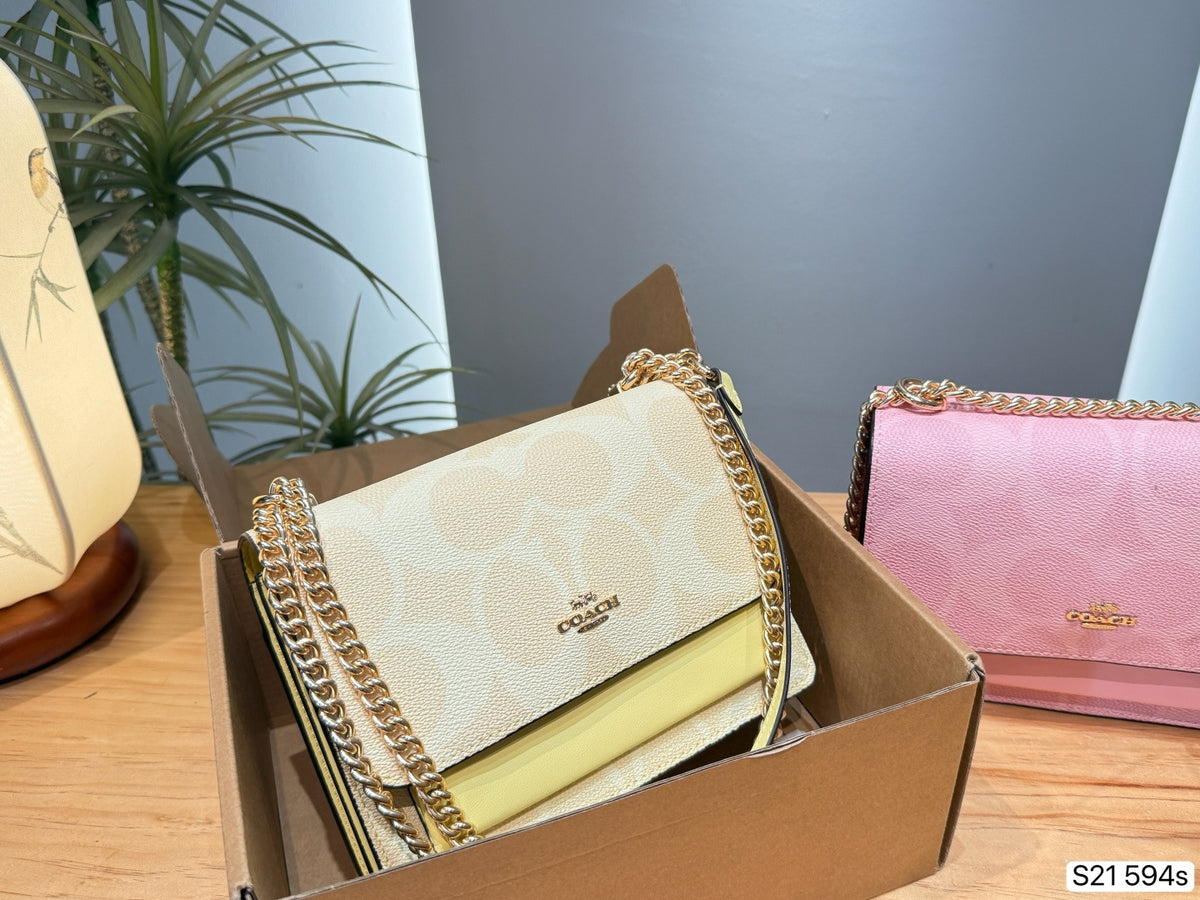 Monogram Canvas Chain Accordion Flap Bag